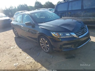HONDA HONDA ACCORD SPORT