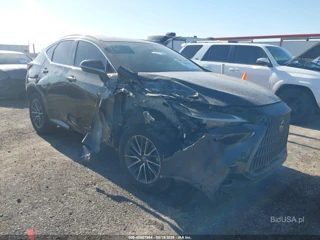 LEXUS LEXUS NX 350