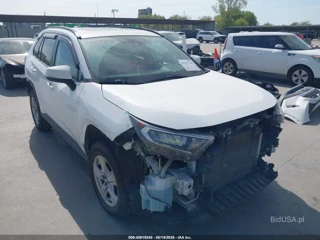 TOYOTA TOYOTA RAV4 XLE
