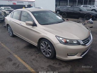 HONDA HONDA ACCORD SPORT