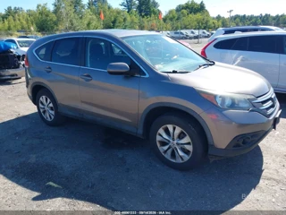 HONDA HONDA CR-V EX