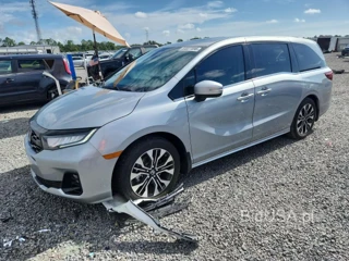 HONDA ODYSSEY ELITE