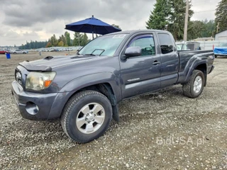 TOYOTA TACOMA V6