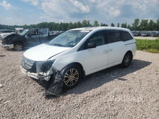 HONDA ODYSSEY EXL