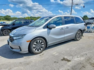 HONDA ODYSSEY EXL