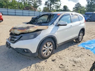 HONDA CR-V EX