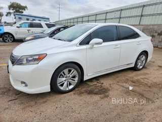 LEXUS HS 250H