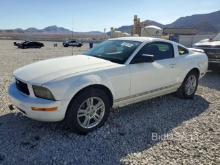 FORD MUSTANG