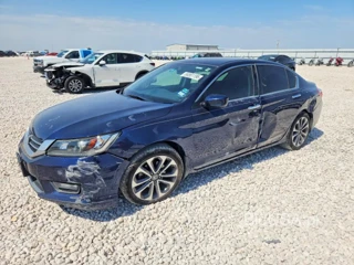 HONDA ACCORD SPORT