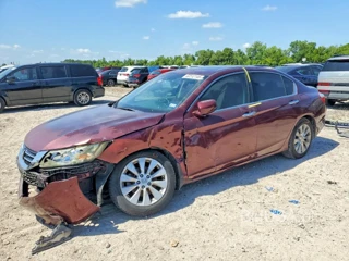 HONDA ACCORD EXL