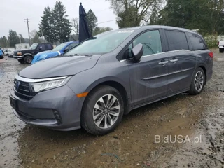 HONDA ODYSSEY EXL