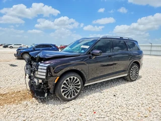 HYUNDAI PALISADE CALLIGRAPHY