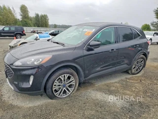 FORD ESCAPE SEL