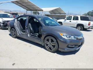 HONDA HONDA ACCORD SPORT