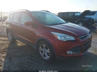 FORD FORD ESCAPE SE