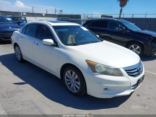 HONDA HONDA ACCORD 3.5 EX