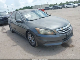 HONDA HONDA ACCORD 2.4 EX-L