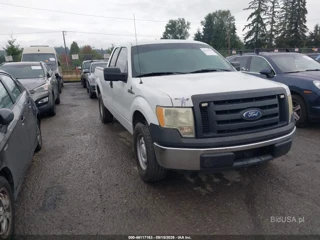 FORD FORD F-150 FX2 SPORT/LARIAT/XL/XLT