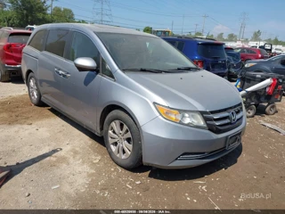 HONDA HONDA ODYSSEY EX-L