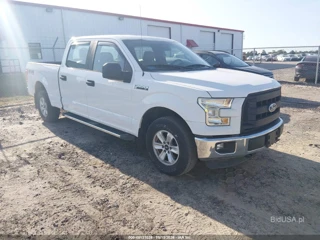 FORD FORD F-150 XL