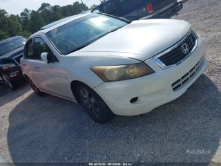 HONDA HONDA ACCORD 3.5 EX-L