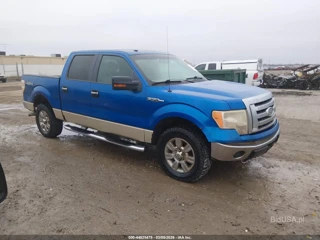 FORD FORD F150 SUPERCREW