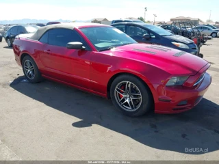 FORD FORD MUSTANG V6