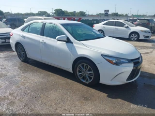 TOYOTA TOYOTA CAMRY SE