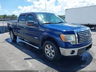 FORD FORD F-150 XLT