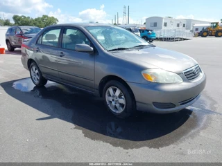 TOYOTA TOYOTA COROLLA LE