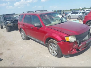 FORD FORD ESCAPE XLT