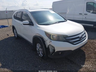 HONDA HONDA CR-V EX-L