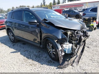 TOYOTA TOYOTA RAV4 LE
