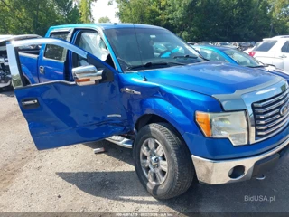 FORD FORD F-150 XLT