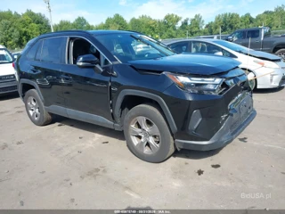 TOYOTA TOYOTA RAV4 XLE