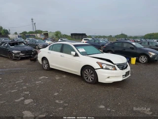 HONDA HONDA ACCORD 3.5 EX-L