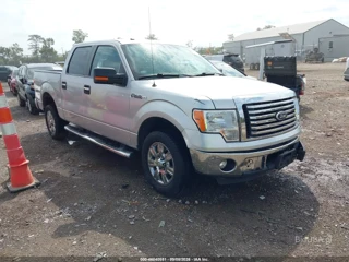 FORD FORD F-150 XLT