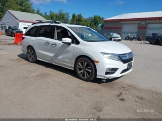 HONDA HONDA ODYSSEY ELITE