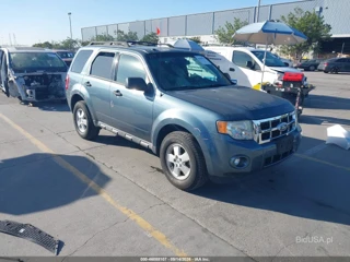 FORD FORD ESCAPE XLT