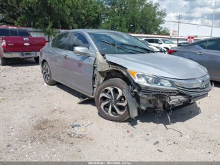 HONDA HONDA ACCORD EX-L