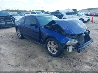 FORD FORD MUSTANG V6