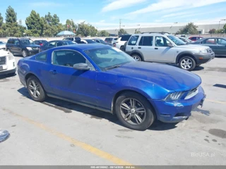 FORD FORD MUSTANG V6