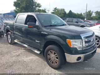 FORD FORD F-150 XLT