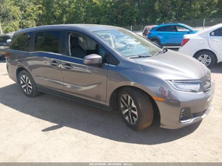 HONDA HONDA ODYSSEY EX-L