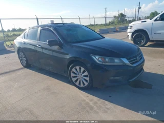 HONDA HONDA ACCORD EX-L