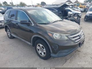 HONDA HONDA CR-V LX