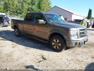FORD FORD F-150 FX4