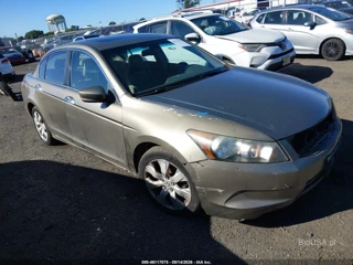 HONDA HONDA ACCORD 3.5 EX-L