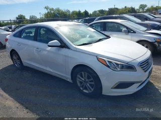 HYUNDAI HYUNDAI SONATA SE