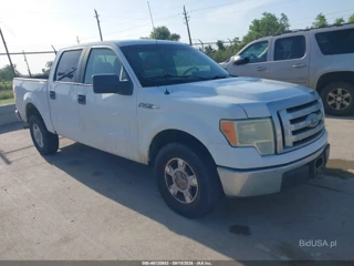 FORD FORD F-150 FX2 SPORT/XL/XLT